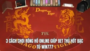 3 cách chơi rồng hổ online giúp bet thủ hốt bạc từ WIN777
