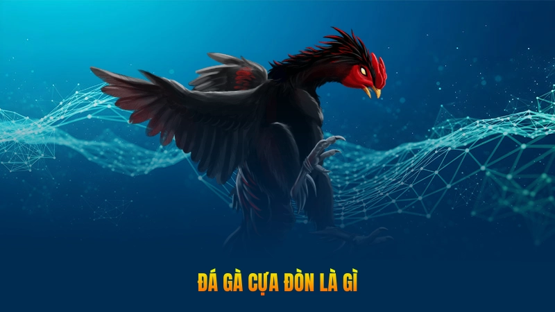 Đá gà cựa đòn là gì?