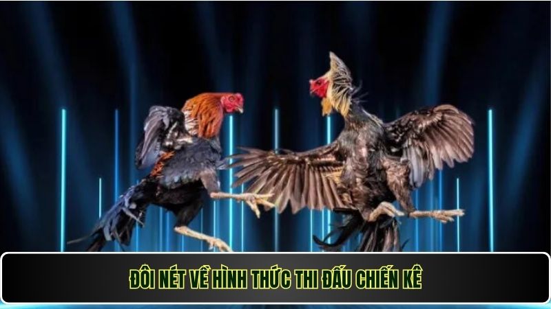 Đôi nét về hình thức thi đấu chiến kê