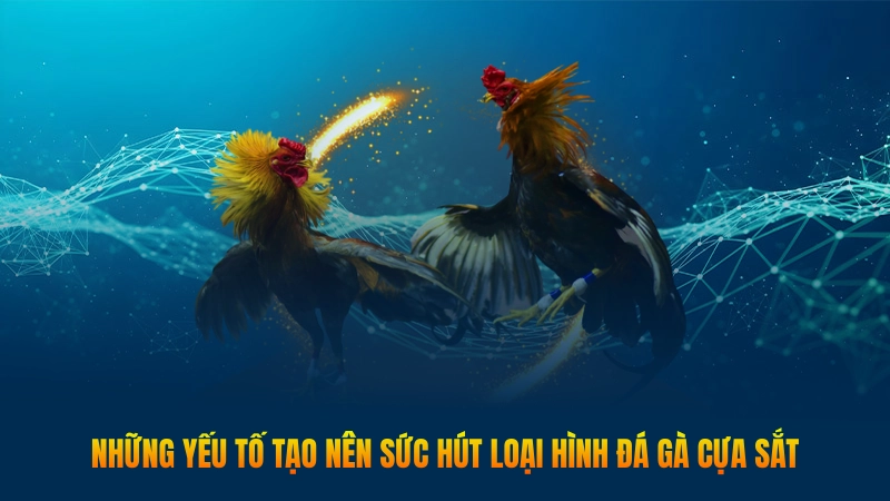 Những yếu tố tạo nên sức hút loại hình đá gà cựa sắt