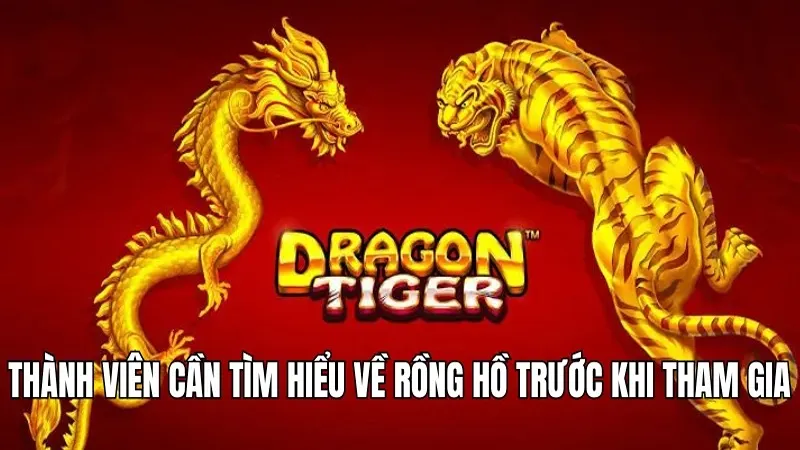Thành viên cần tìm hiểu về rồng hồ trước khi tham gia