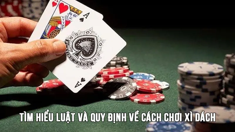 Tìm hiểu luật và quy định về cách chơi xì dách