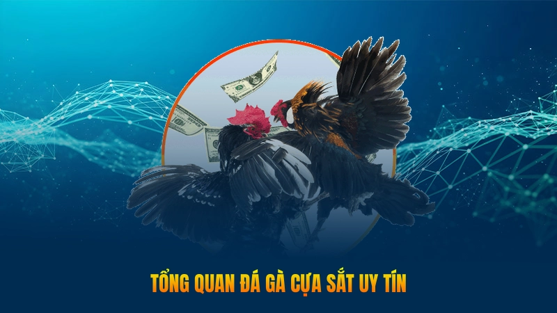 Tổng quan đá gà cựa sắt uy tín